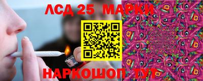 гидропоника Кулебаки