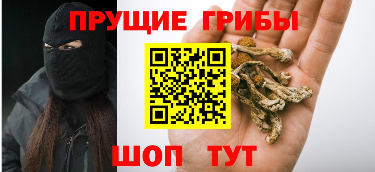 Псилоцибиновые грибы Cubensis  Псилоцибиновые грибы Psilocybe  Вход с VPN  Кизляр 